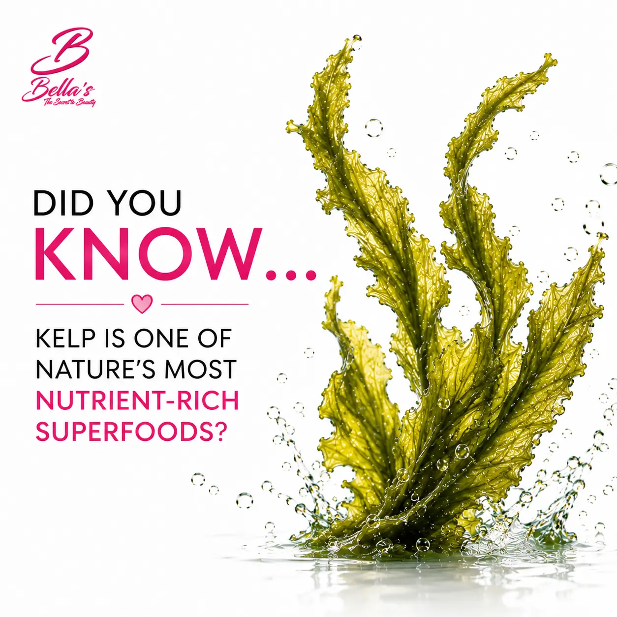 Kelp is a nutrient-rich ocean ingredient featured in Bellas hair growth vitamins