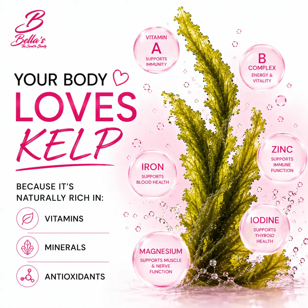 Kelp contains vitamins, minerals and antioxidants that support overall nutrition