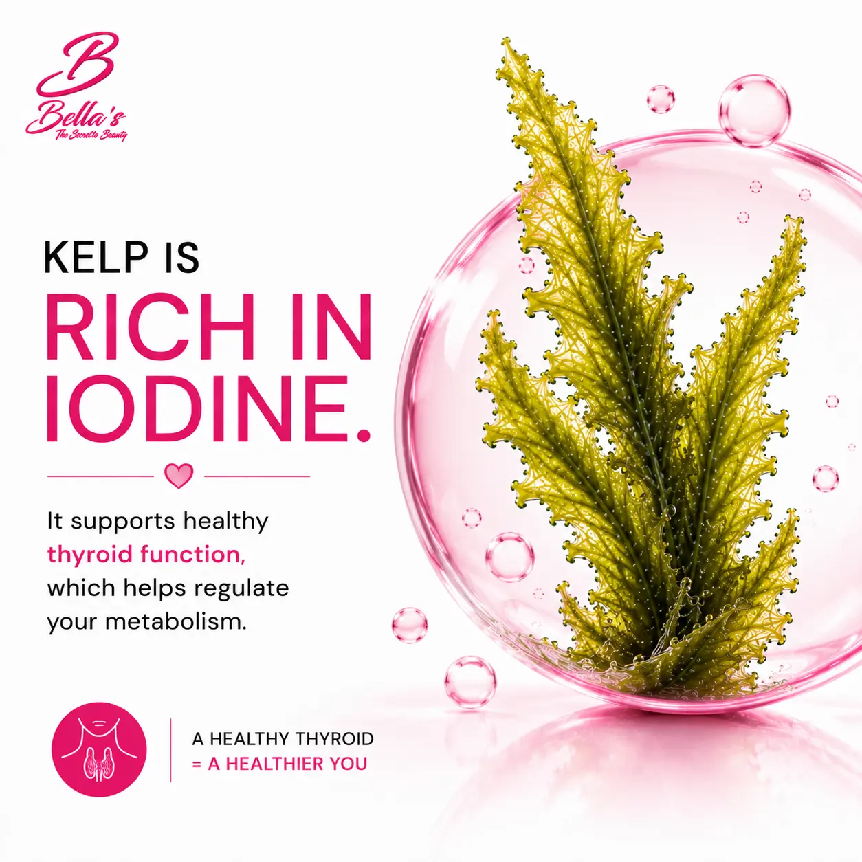 Kelp and iodine in Bellas hair growth vitamins for nutritional support